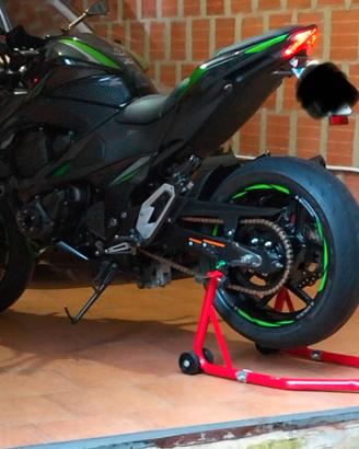 Kawasaki Z800 ABS Performance
