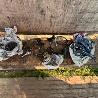 Gruppo cambio campagnolo completo