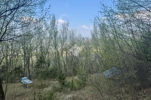 TER. AGRICOLO A NEGRAR DI VALPOLICELLA