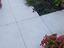 Immagine 14