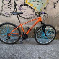 MTB 26 OLMO SENTIERO