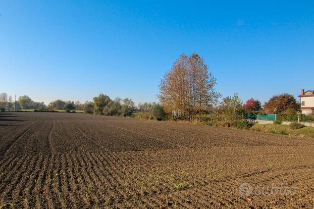 Terreno edificabile - agricolo