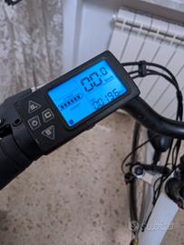 bicicletta elettrica 250w pedalata assistita 