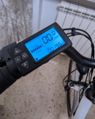 bicicletta elettrica 250w pedalata assistita 