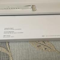 Cinturino x Apple Watch