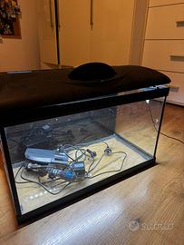 acquario 50L