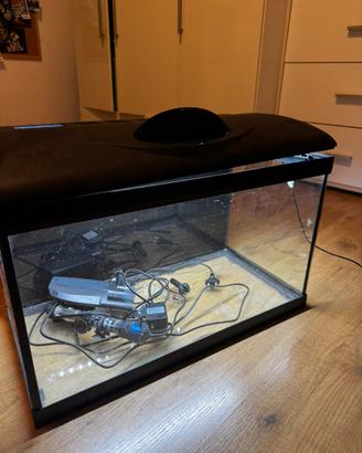 acquario 50L