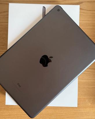 Apple iPad - 7 - Grey - WiFi