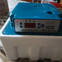 Incubatrice per uova da pollame 