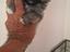 Immagine 4