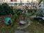 Immagine 25