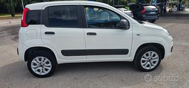 Fiat panda 4x4 AUTOCARRO