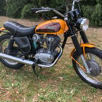 Ducati 250 scrambler