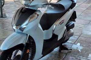 Sh 300 sport