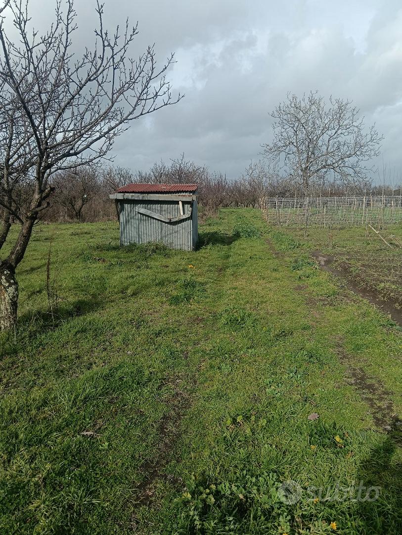 Terreno agricolo - Vista 2