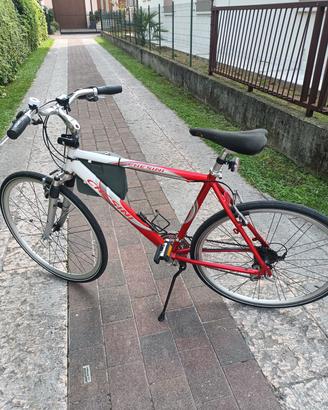 city bike settembrina