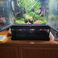 Terrario Bioattivo 30x30 – Setup completo