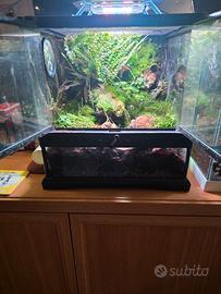 Terrario Bioattivo 30x30 – Setup completo
