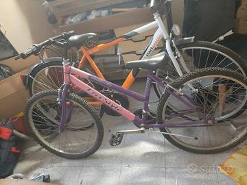 Bicicletta 