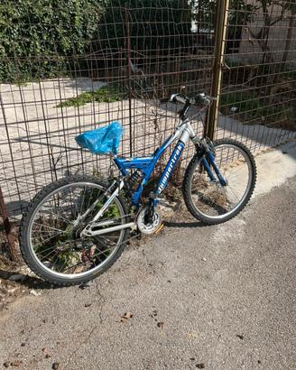 Mountain bike