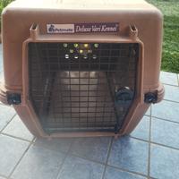 TTASPORTINO X CANE PETMARK