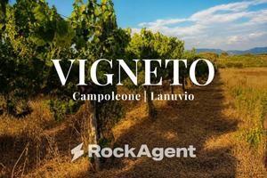 Terreno di 10000 m² a Lanuvio