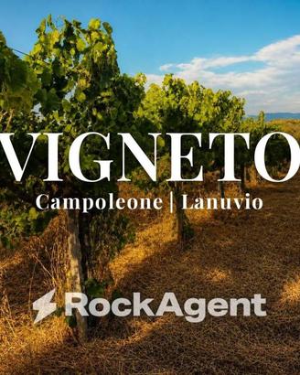 Terreno di 10000 m² a Lanuvio
