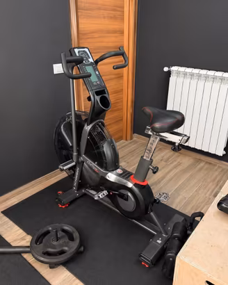 Assault Bike proessionale