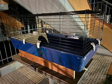 Vaschetta per tartarughe d’acqua, tartarughiera