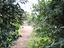 Immagine 20