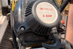 Tender gommone con motore