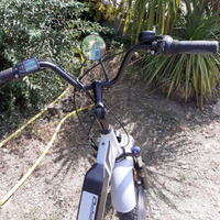 Bicicletta elettrica Atala califfo