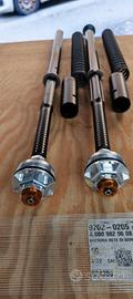 Cartucce Andreani Misano Evo Triumph Trident 660 2