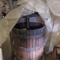 torchio per uva 