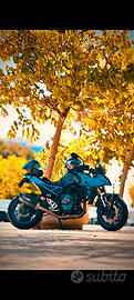Suzuki gsx 8s 2023
