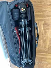 treppiede telecamera camgear