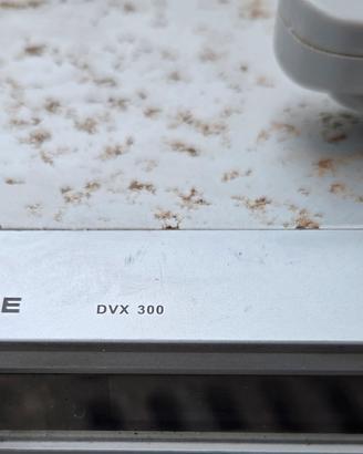 lettore dvd boghe DVX 300