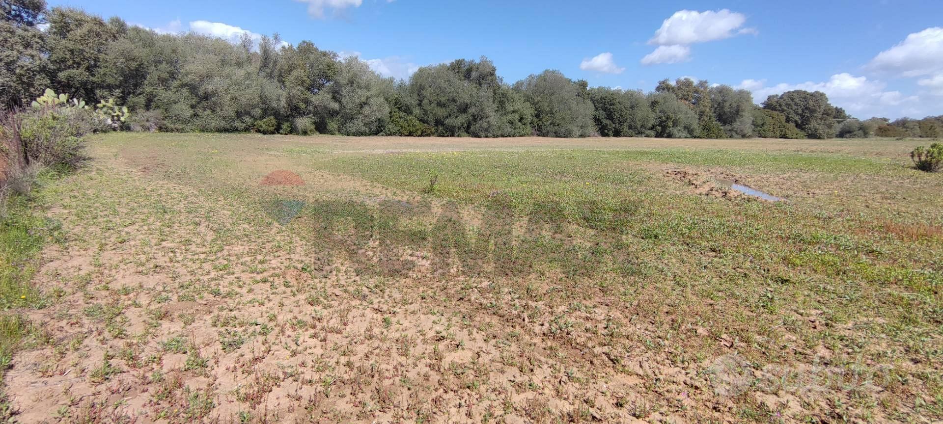 Terreno - Caltagirone - Vista 5