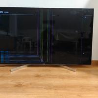 Sony 55" schermo rotto 