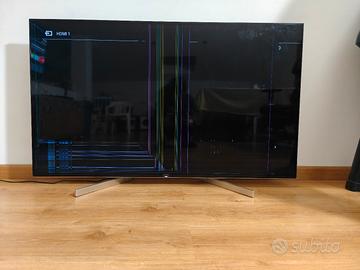 Sony 55" schermo rotto 
