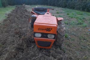 Trattore pasquali 997