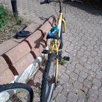    bici, chiamare solo dopo le sedici.