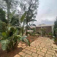 Rosa marina - Ostuni