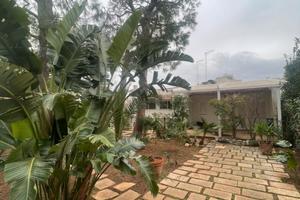 Rosa marina - Ostuni