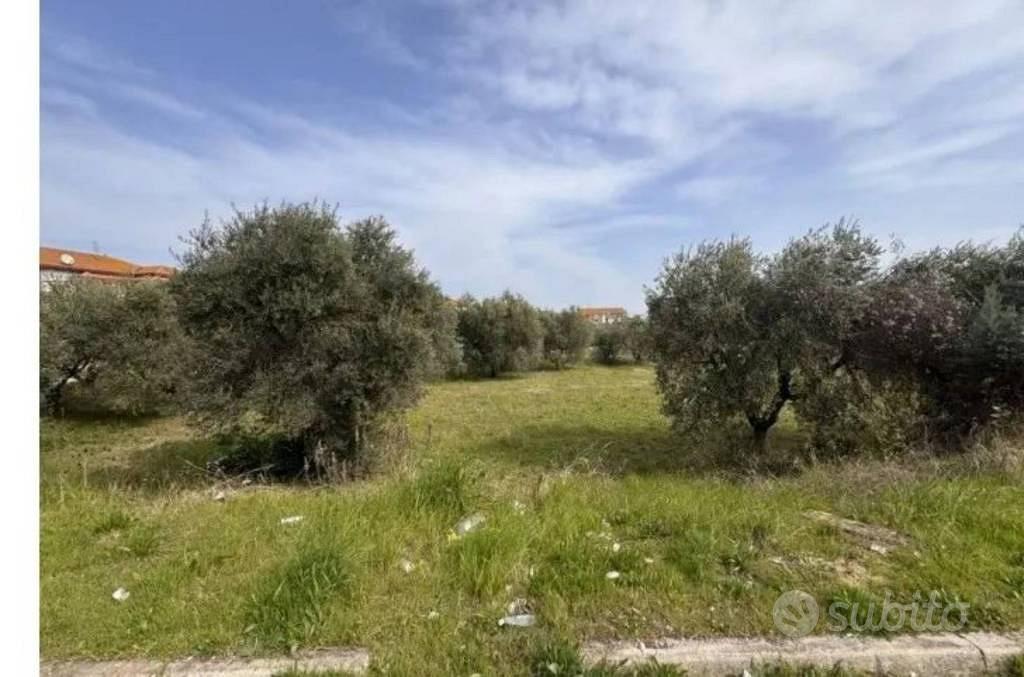 Immobile in asta di 3883 m² a Morro d'Oro - Vista 5
