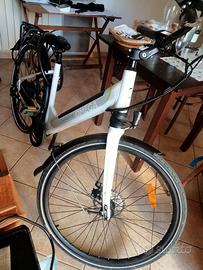 Bicicletta Elettrica a Pedalata Assistita – Argent