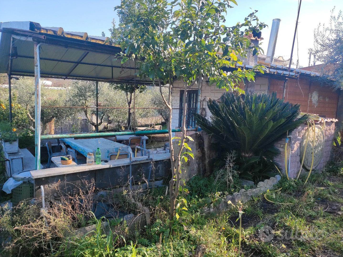 terreno con piccola casetta prefabbricata - Altro