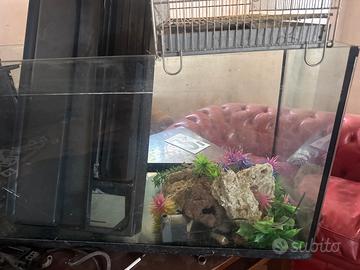 Acquario