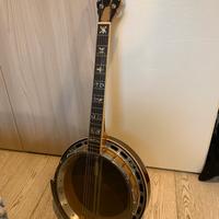 banjo Hondo II a 6 corde