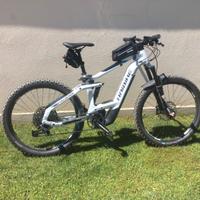 e-mtb elettrica